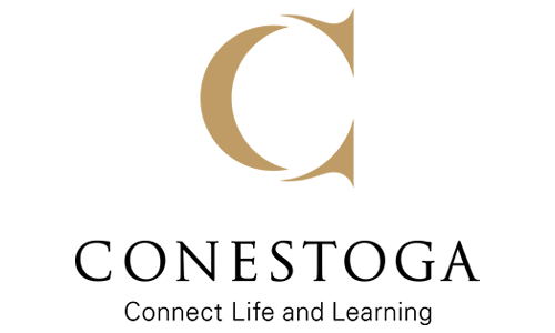 College - University CSP Work with